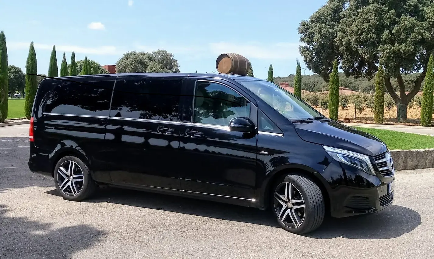 Alquiler Coche